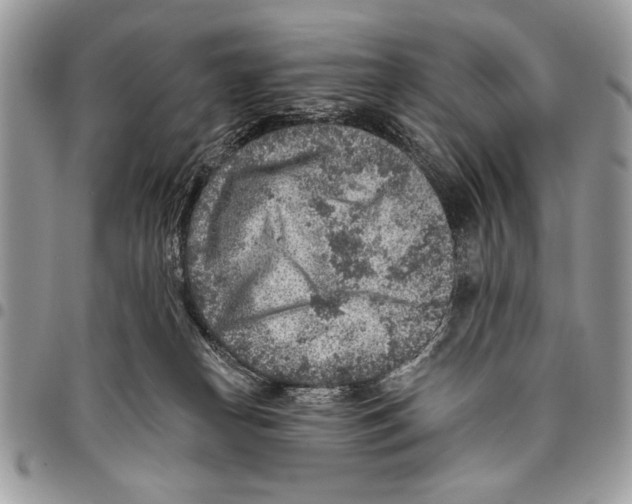 X0000095880182200802081103