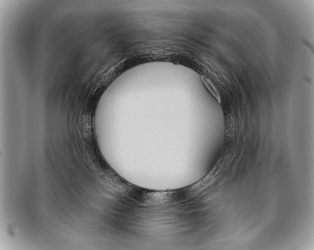 X0000095880184200802081103