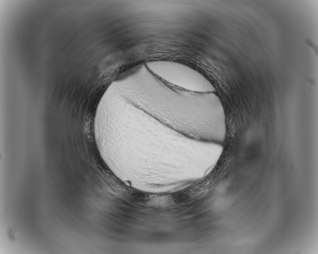 X0000095880185200802081103