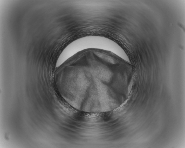 X0000095880186200802081103