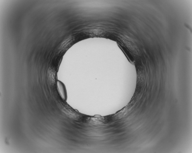 X0000095880188200802081103