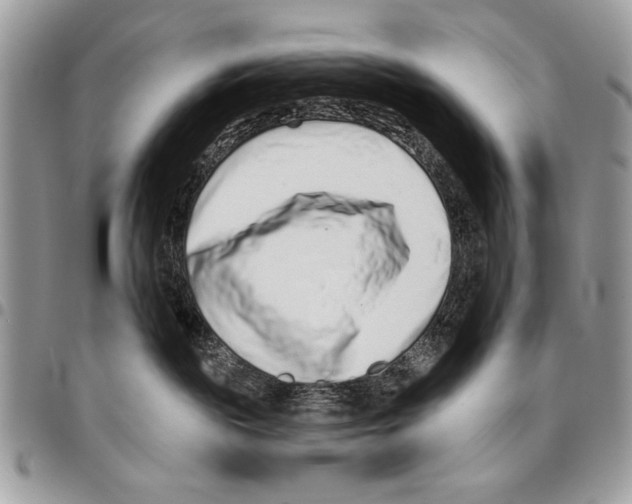 X0000095880189200802081103