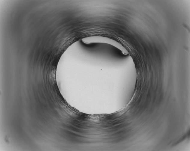 X0000095880190200802081103