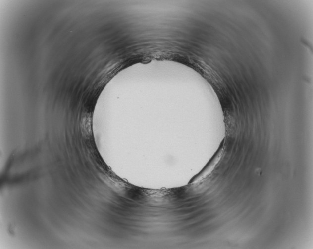 X0000095880191200802081103