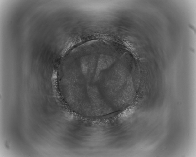 X0000095880192200802081103