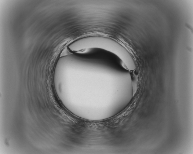 X0000095880193200802081103