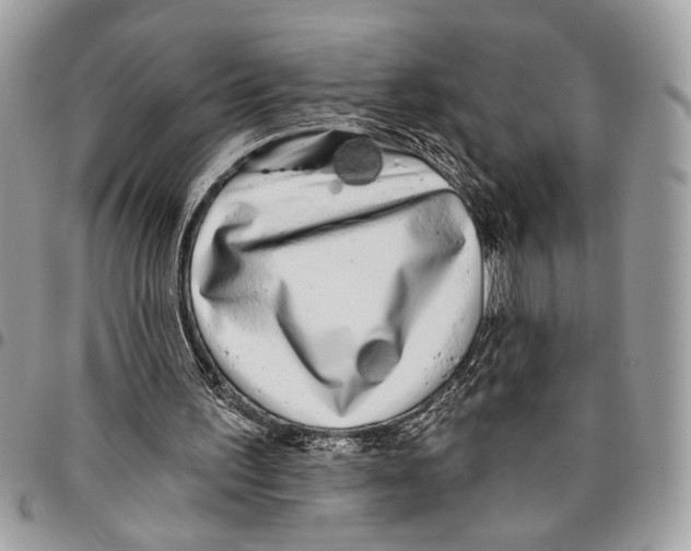 X0000095880195200802081103