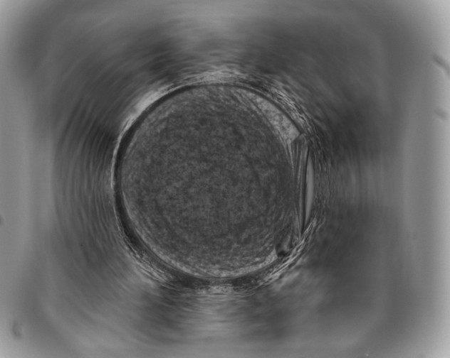 X0000095880196200802081103