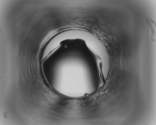 X0000095880197200802081103