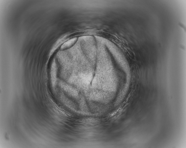 X0000095880198200802081103