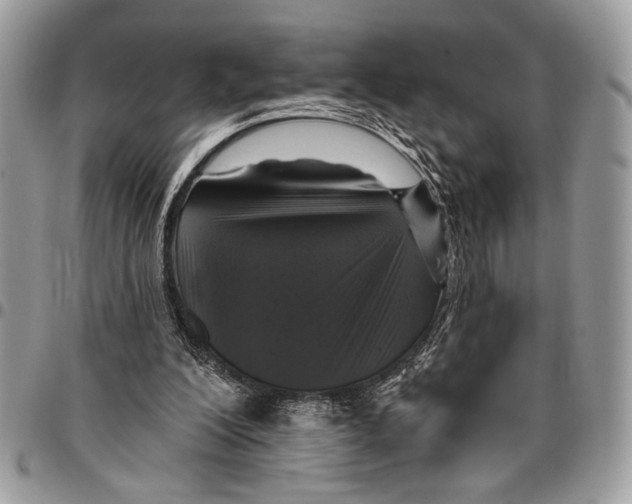 X0000095880200200802081103