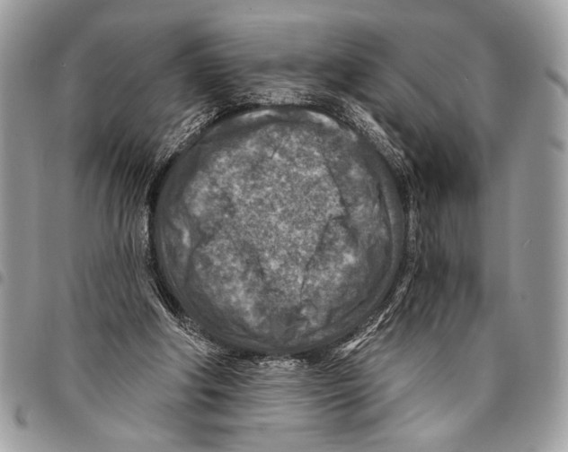 X0000095880202200802081103