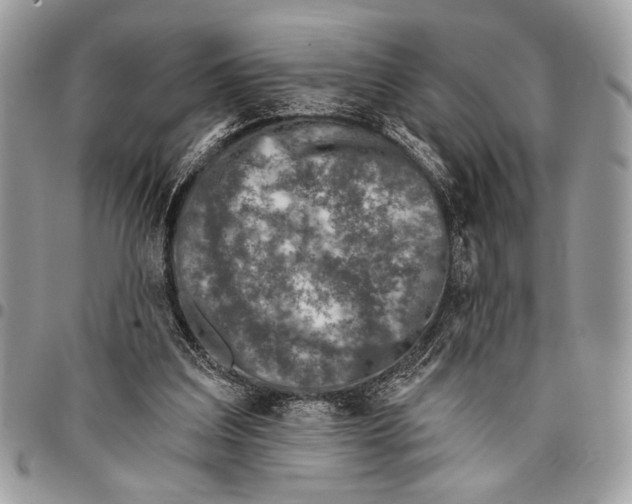 X0000095880203200802081103