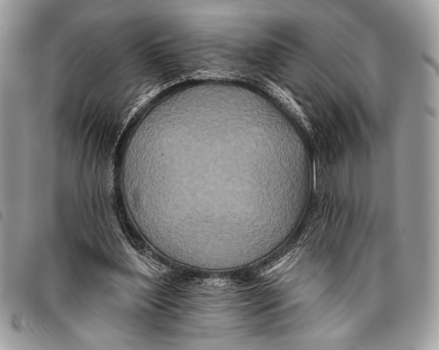 X0000095880204200802081102