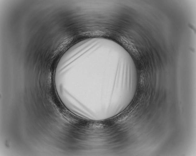 X0000095880206200802081102