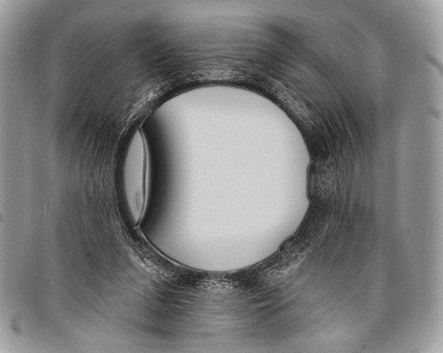 X0000095880207200802081102