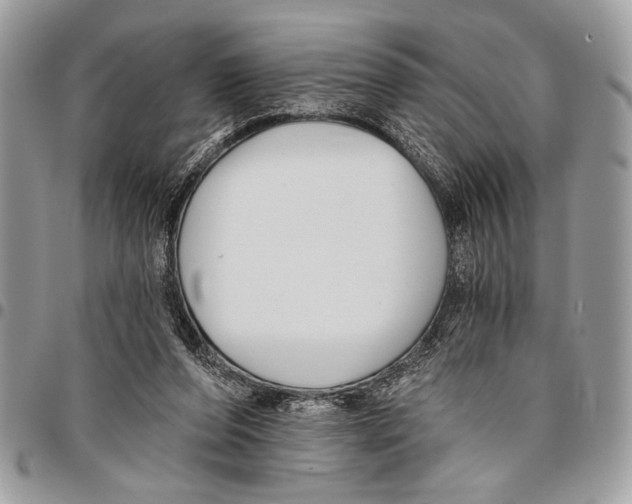 X0000095880208200802081102