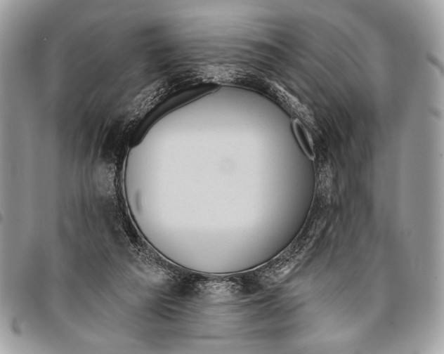 X0000095880209200802081102