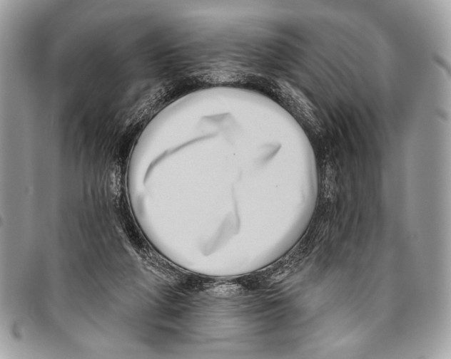 X0000095880210200802081102