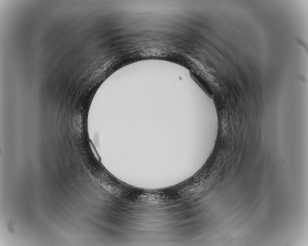 X0000095880211200802081102