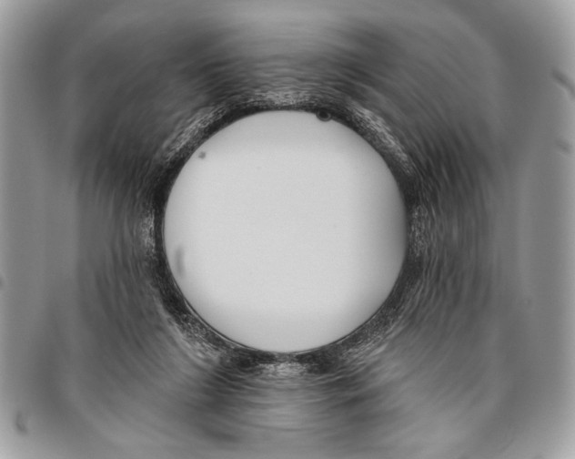 X0000095880212200802081102