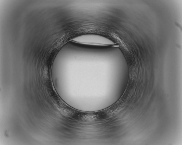 X0000095880213200802081102