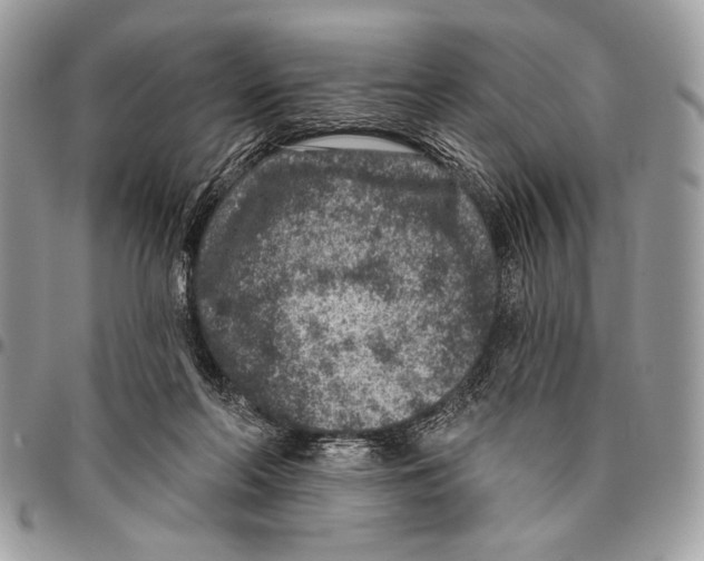 X0000095880214200802081102