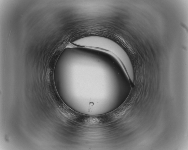 X0000095880217200802081102