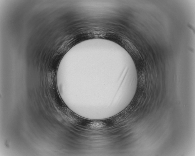 X0000095880218200802081102