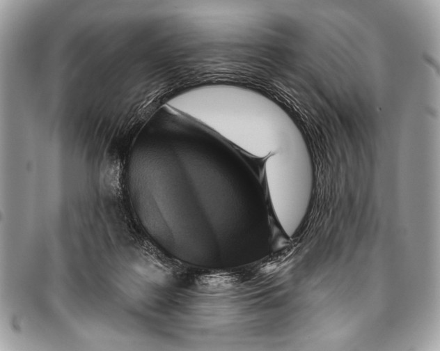 X0000095880219200802081102