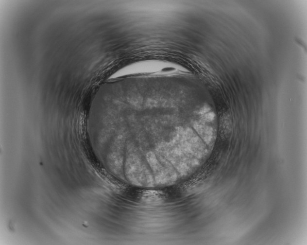 X0000095880222200802081102