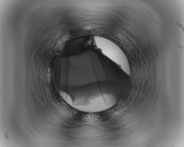 X0000095880223200802081102