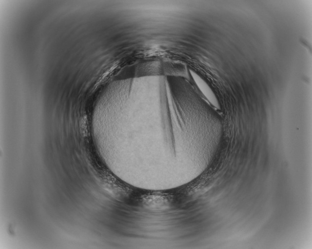 X0000095880224200802081102