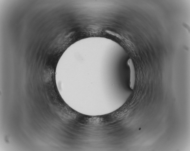 X0000095880225200802081102