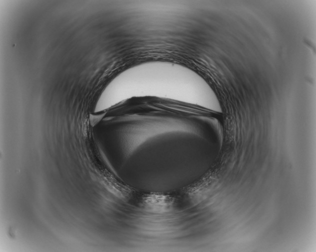 X0000095880227200802081102