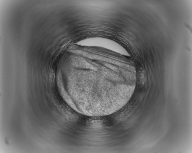 X0000095880228200802081102