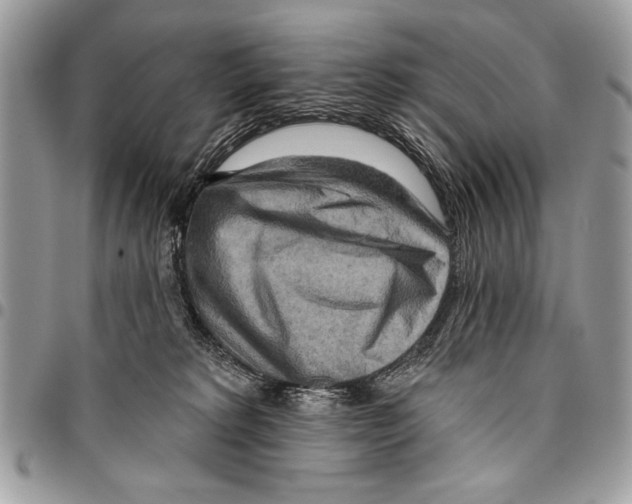 X0000095880229200802081102