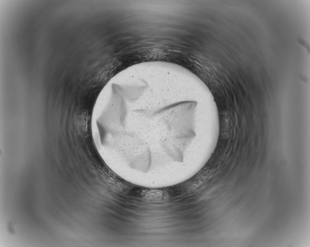 X0000095880230200802081102