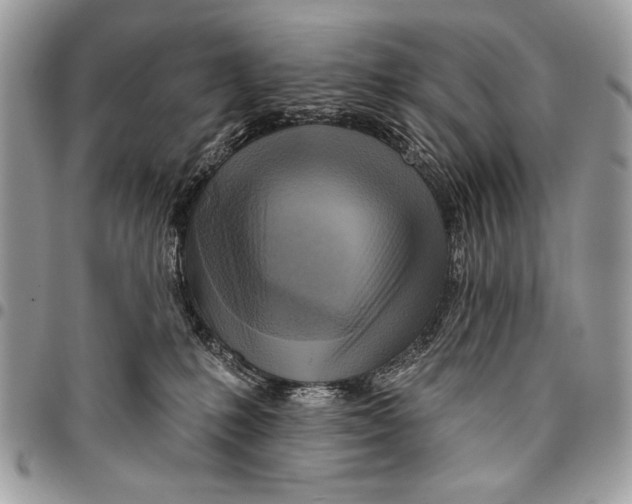 X0000095880231200802081102