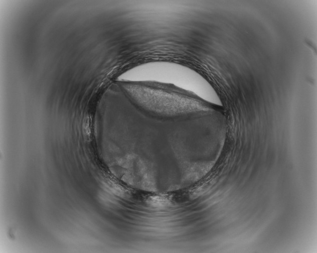 X0000095880232200802081102