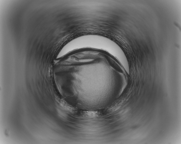 X0000095880233200802081102