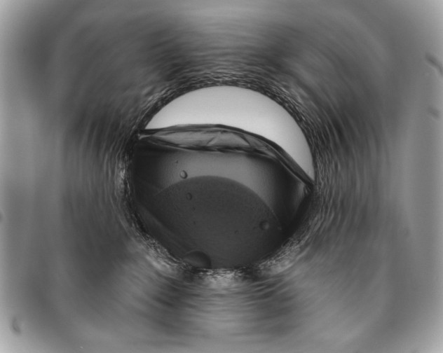 X0000095880235200802081102