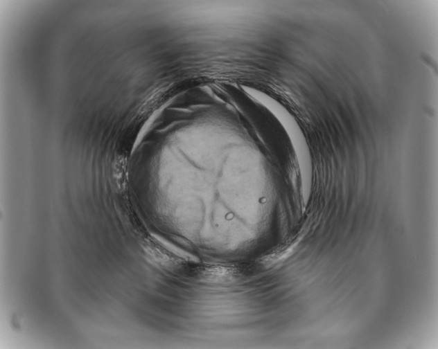 X0000095880237200802081102