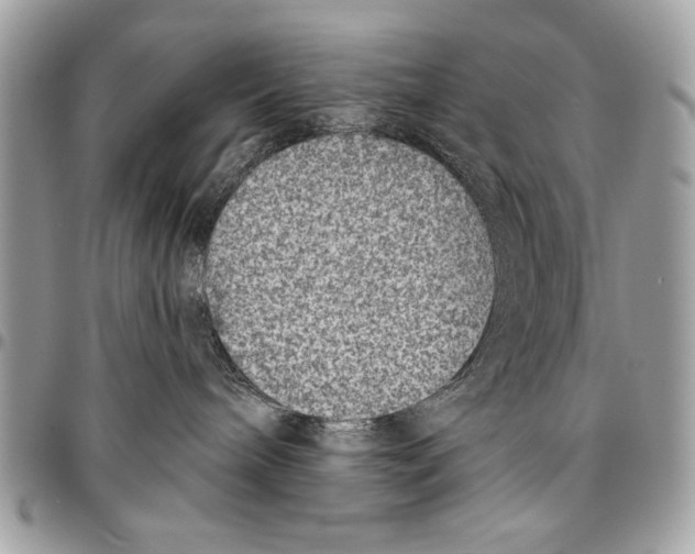 X0000095880240200802081102