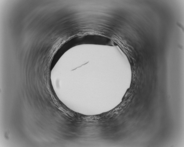 X0000095880241200802081101