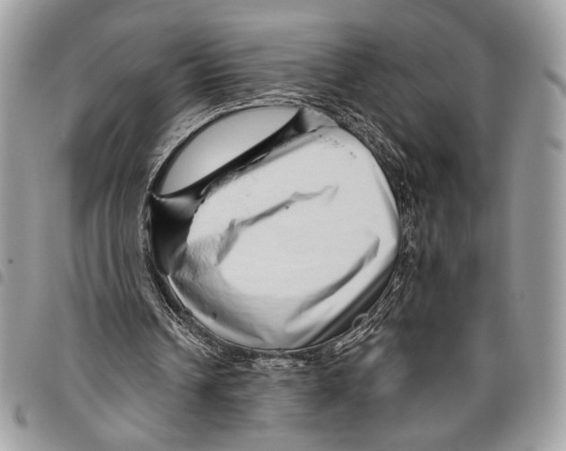 X0000095880242200802081101