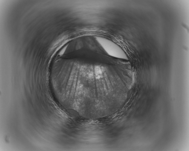 X0000095880243200802081101