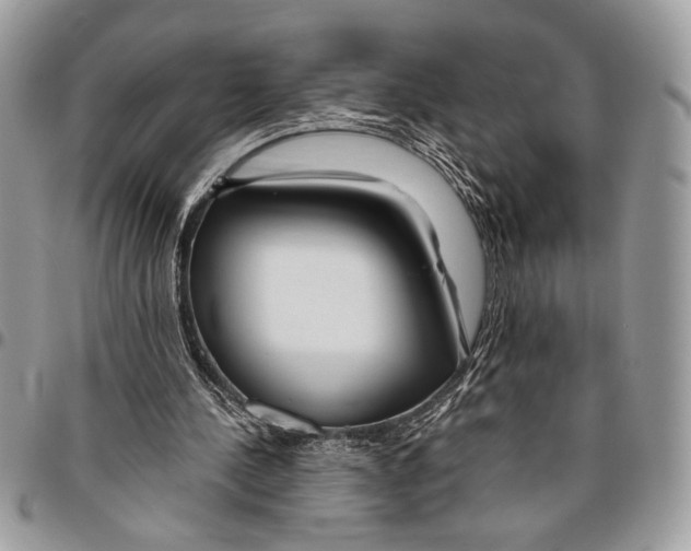 X0000095880244200802081101