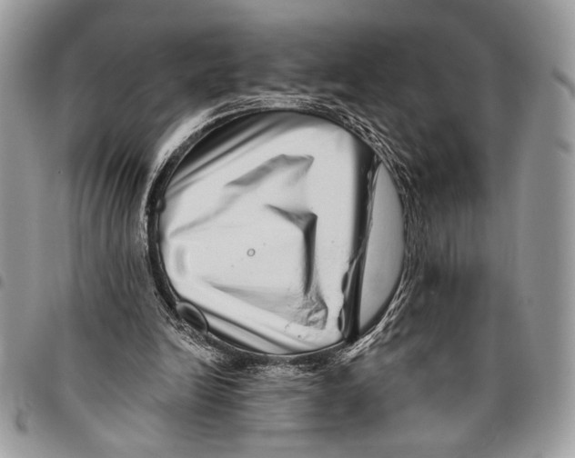 X0000095880246200802081101