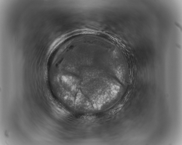 X0000095880247200802081101